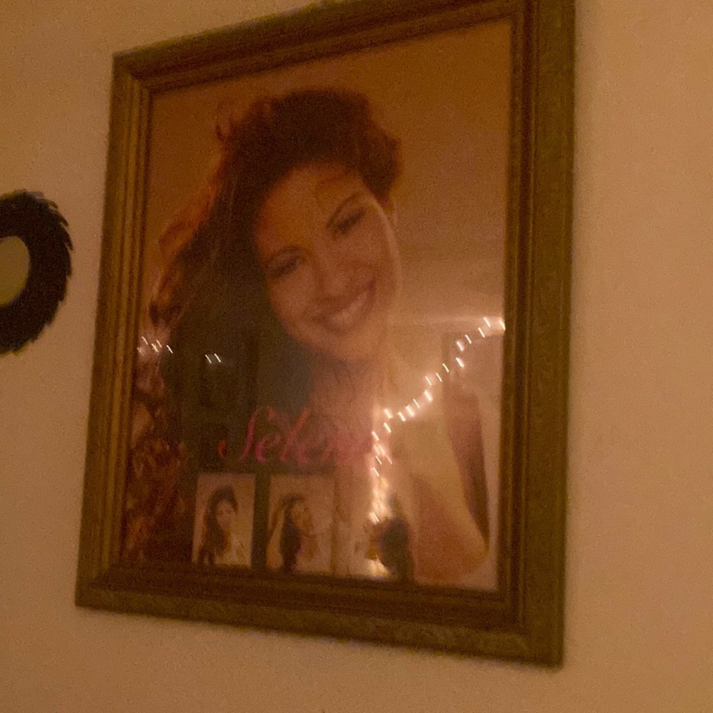 Selena Picture Frame